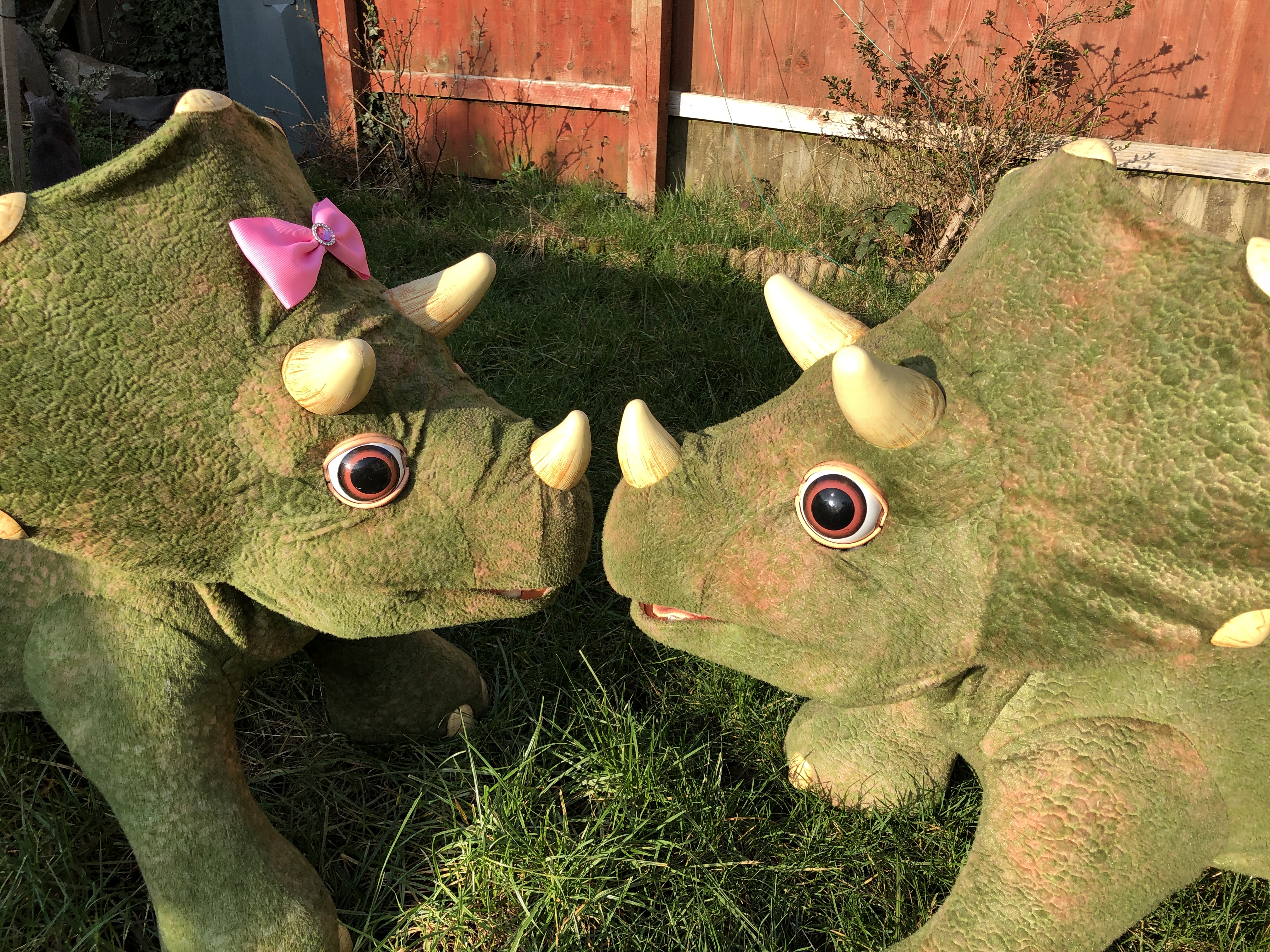 Toppa and Cerra 2 small interactive dinosaurs for party hire