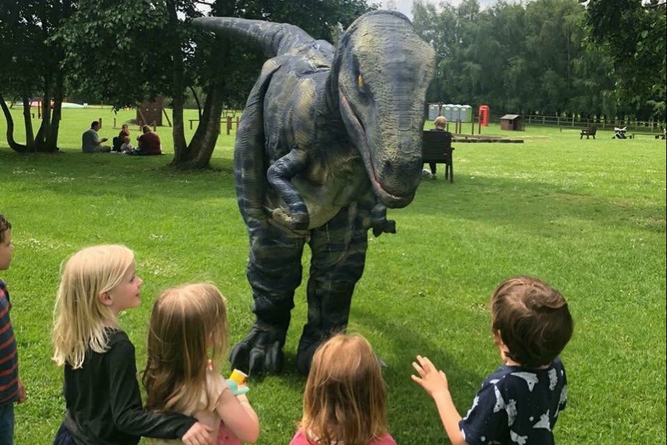 Raptor at the park velociraptor at the park
