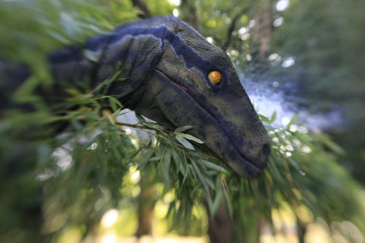 Raptor in the trees dinosaur hidden in trees